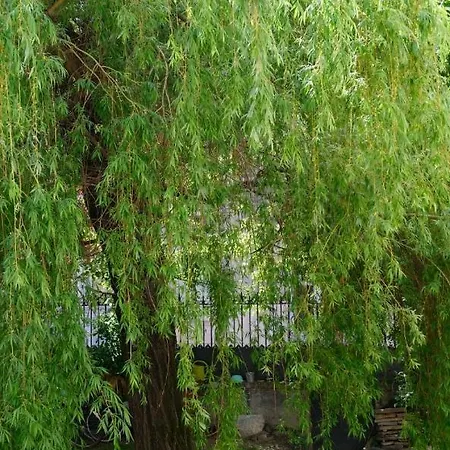 La Chorier Maison d'hôtes 3*