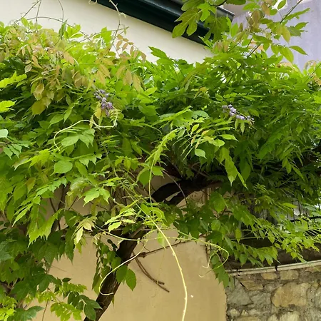 Guest house La Villa Chorier *