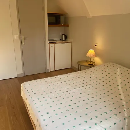 La Villa Chorier Guest house Grenoble