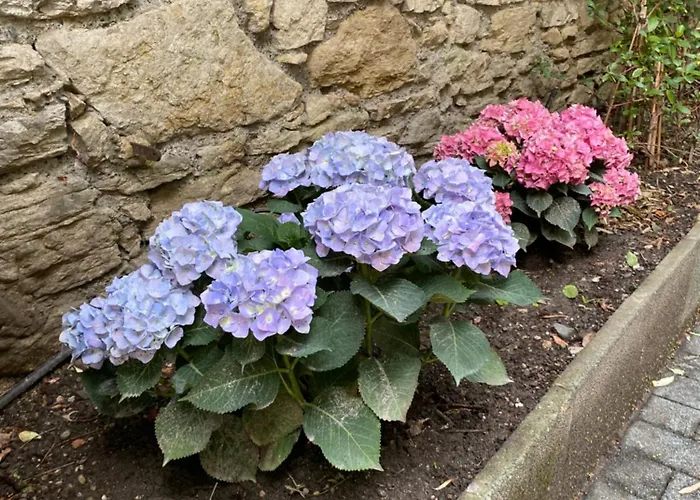 La Chorier Гренобль