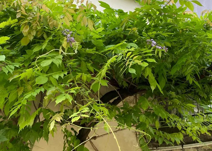 Гостьовий будинок La Chorier 3*