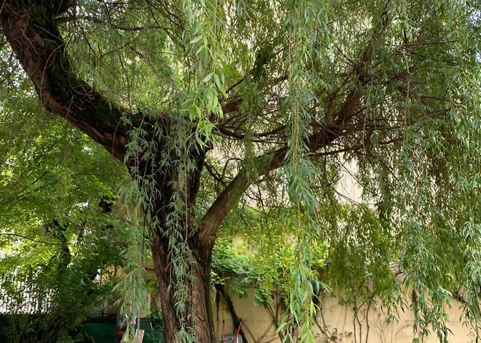 La Chorier Гостьовий будинок