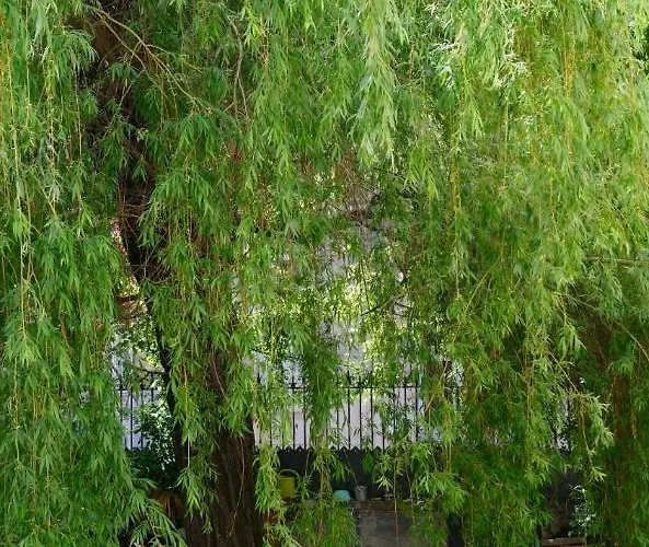 La Chorier Penzion 3*